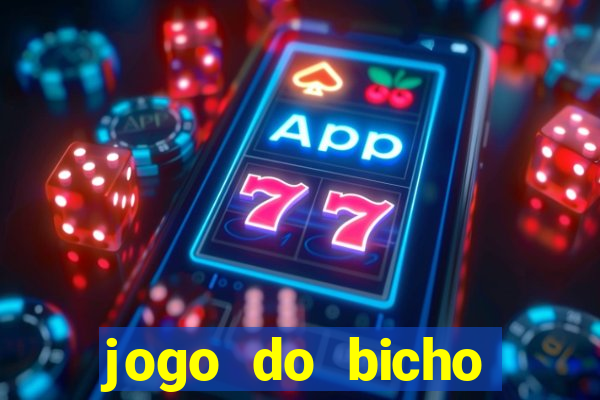 jogo do bicho crash bingo